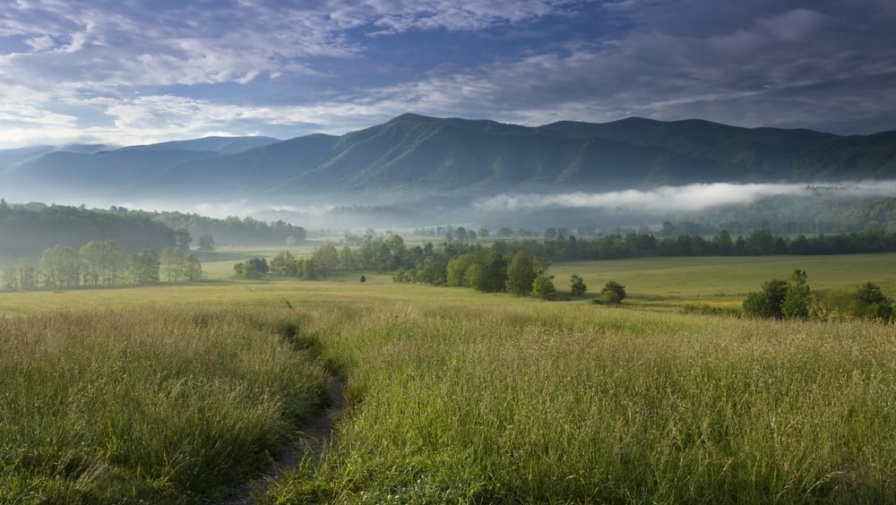 What NOT to Do When You Visit Cades Cove