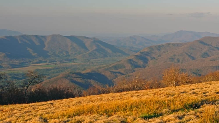 Everything You Need to Know About Hiking to Gregory Bald