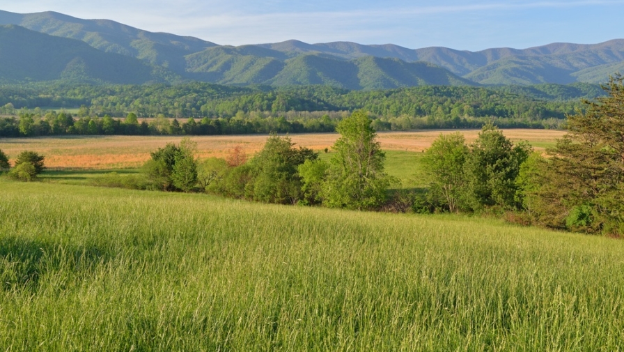 Is Cades Cove Worth Driving To?