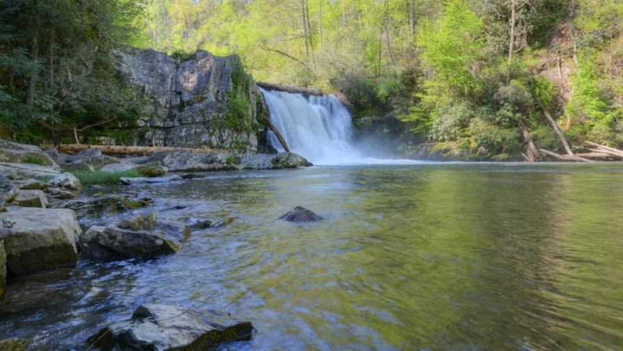 All About Abrams Falls Trail in Cades Cove
