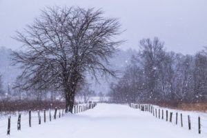 cades cove loop covered in snow