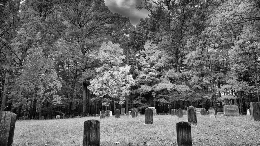 Uncovering the Cades Cove Cemeteries and Their History