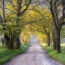 Cades Cove Driving Tour Booklet: Have the Full Cades Cove Experience When You Visit