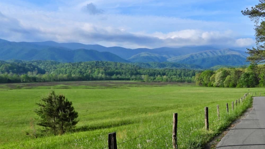 4 Things to Bring When You Stay at Cades Cove Campground