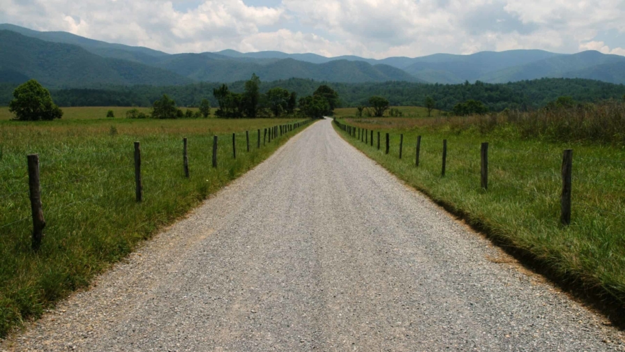 The 4 Best Activities for Families to Do Along the Cades Cove Loop