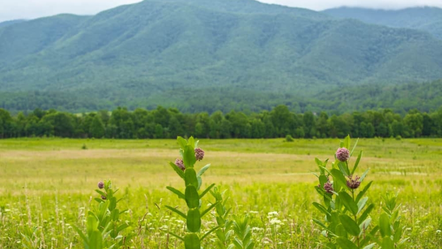 Learn The Native American History of Cades Cove