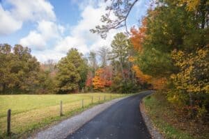 cades cove loop road in fall