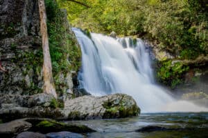 A Spectacular Cades Cove Waterfall: 3 Interesting Facts About Abrams Falls Trail