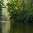 Your Guide to Abrams Creek Fishing in Cades Cove