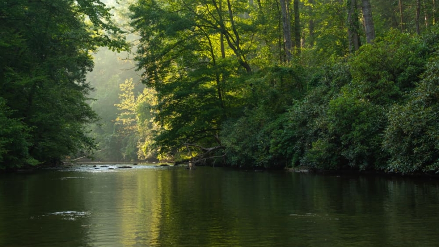 Your Guide to Abrams Creek Fishing in Cades Cove