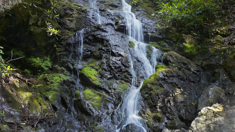 4 Smoky Mountain Waterfalls to View on Your Drive from Gatlinburg to Cades Cove