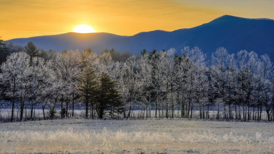 4 Reasons to Visit Cades Cove in January
