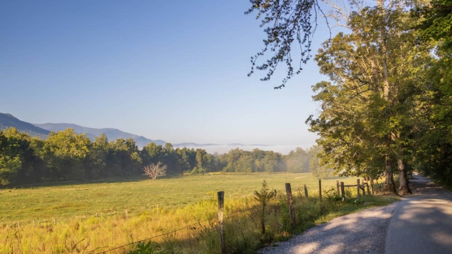 8 Things You Can See Along Cades Cove Loop Road